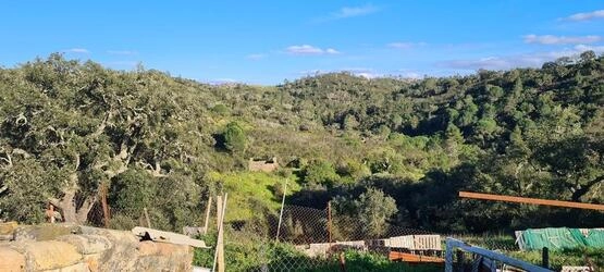 Farmhouse com 5 quartos à venda em Salir