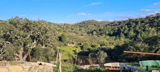 Farmhouse com 5 quartos à venda em Salir