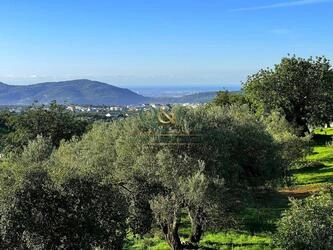 Villa avec 4 chambres à vendre à São Brás de Alportel